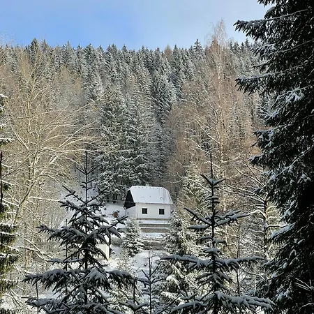 The House Next To The Forest - Lakmat Nové Hamry Exterior photo