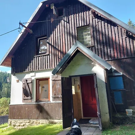 The House Next To The Forest - Lakmat Nové Hamry Exterior photo
