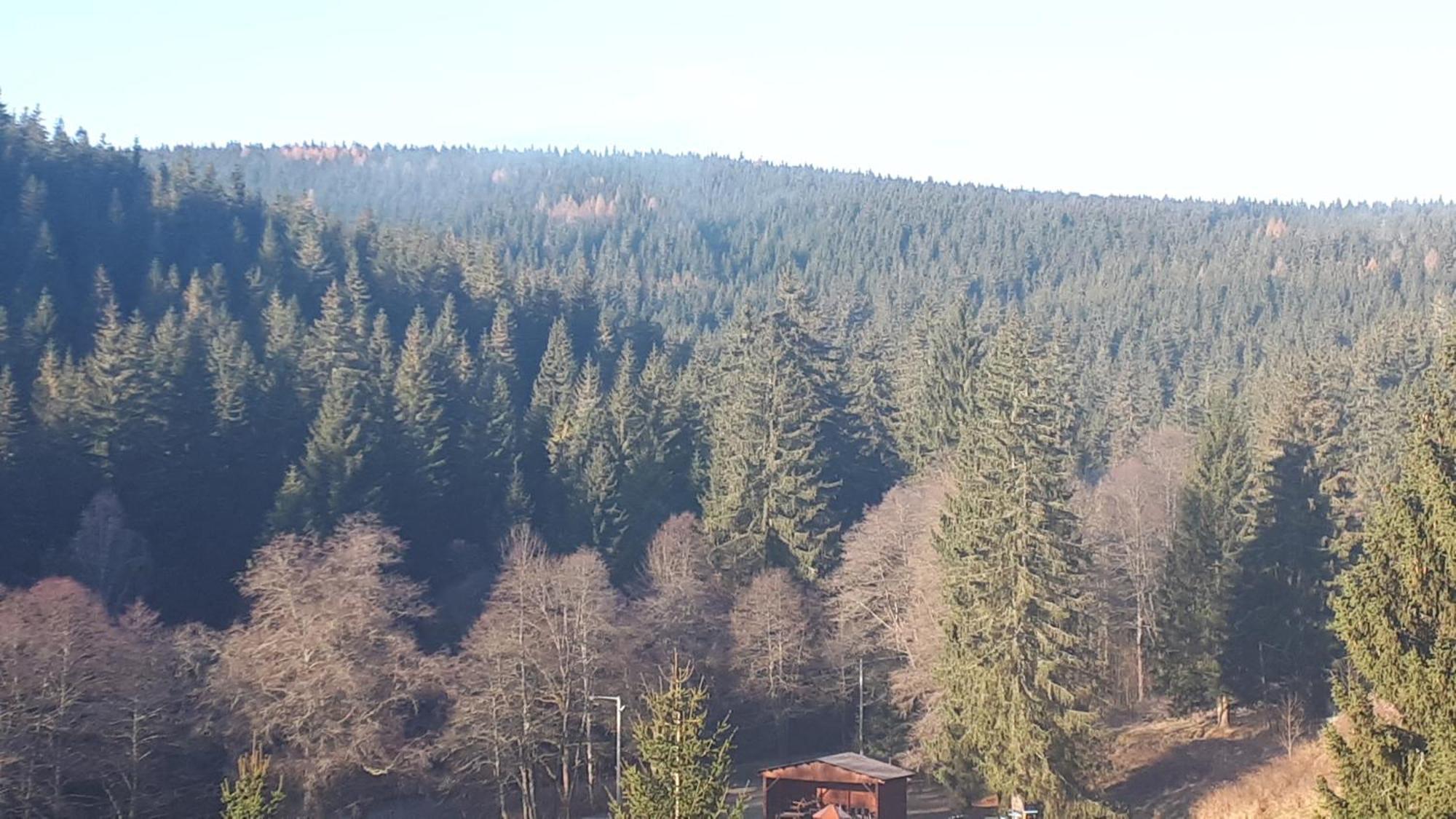 The House Next To The Forest - Lakmat * Nové Hamry